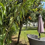 Sirios