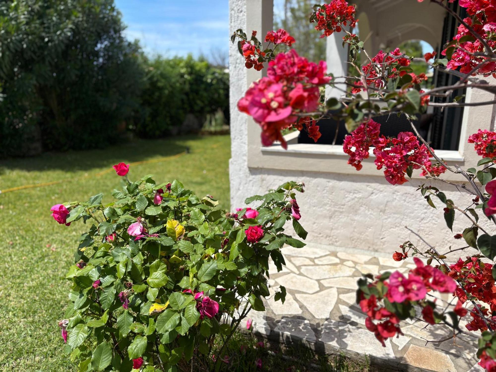 Apartament Sirios