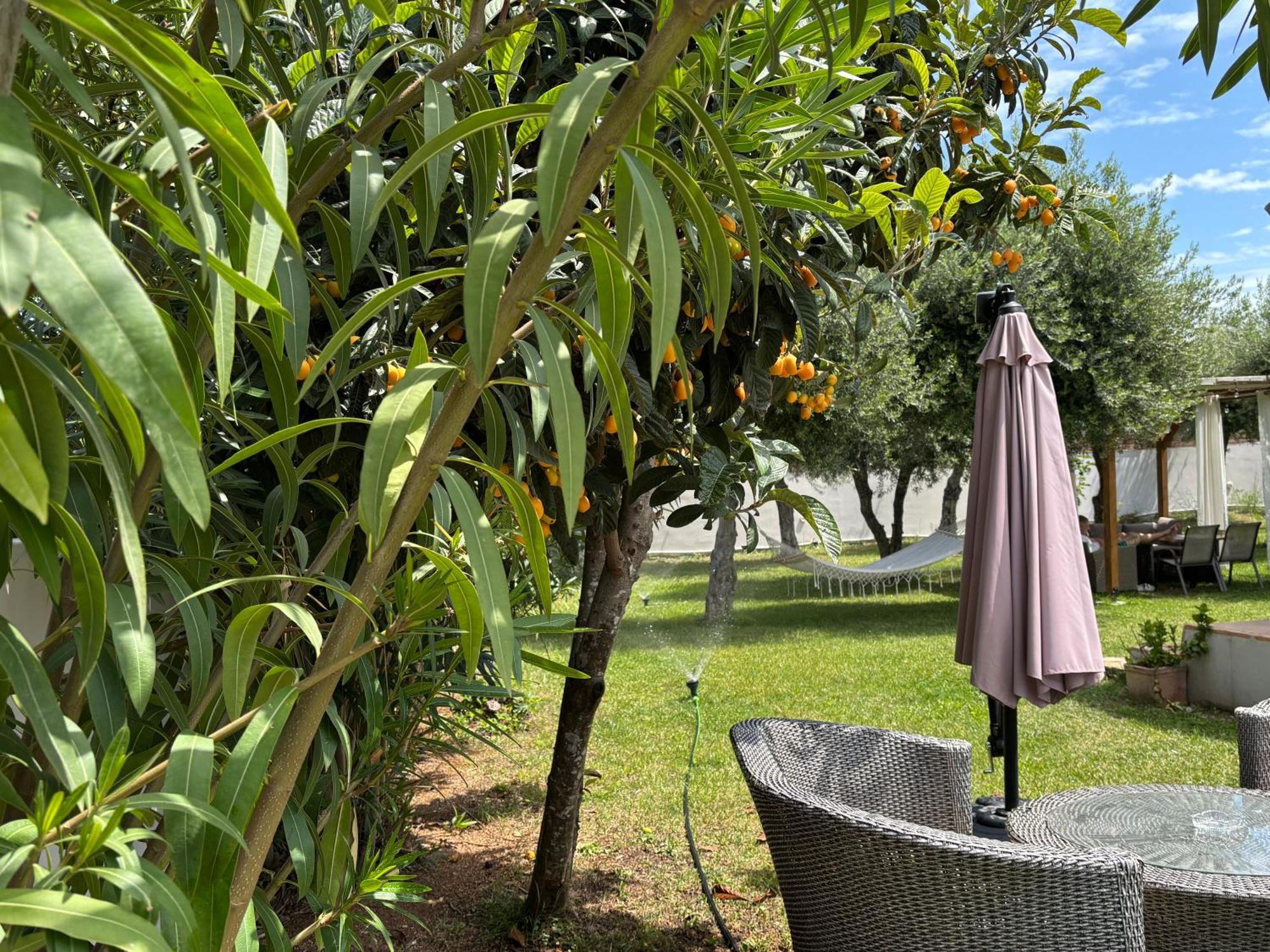 Sirios Acharavi (Corfu)